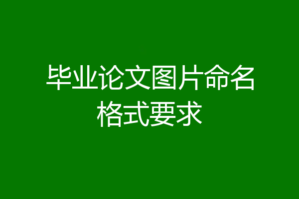 毕业论文图片命名格式要求