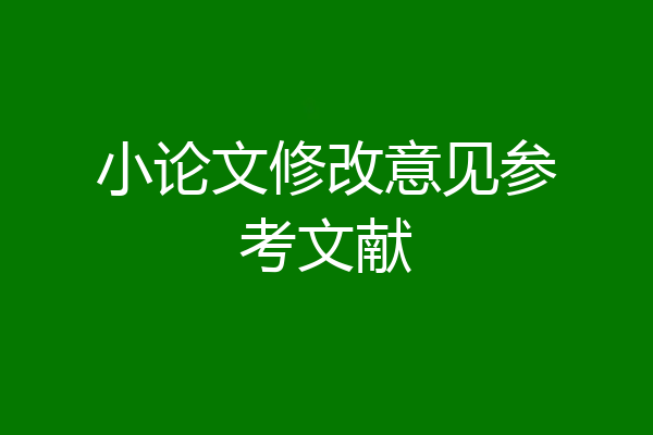 小论文修改意见参考文献