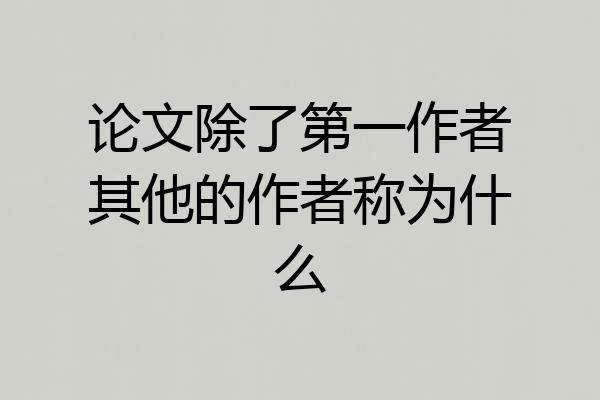 论文除了第一作者其他的作者称为什么