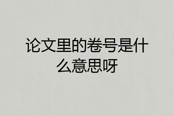 论文里的卷号是什么意思呀
