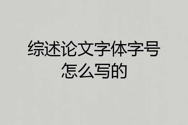 综述论文字体字号怎么写的