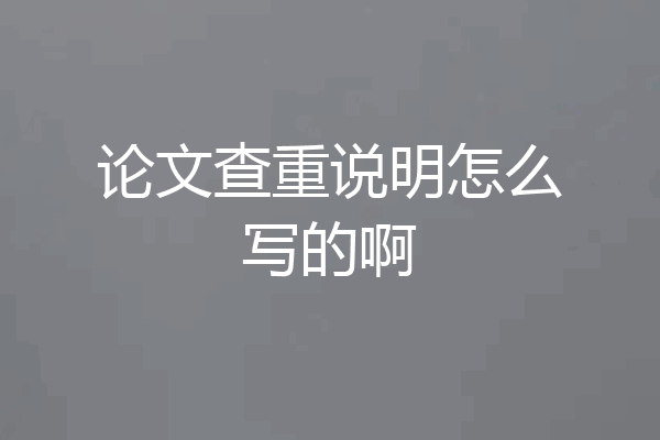 论文查重说明怎么写的啊