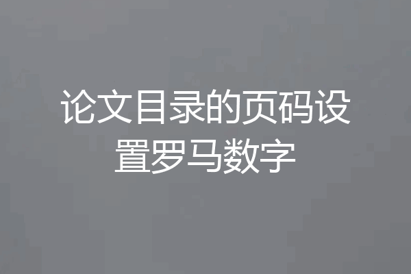 论文目录的页码设置罗马数字