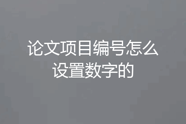 论文项目编号怎么设置数字的