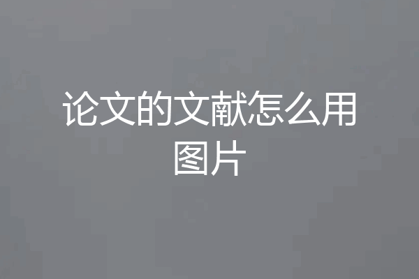 论文的文献怎么用图片