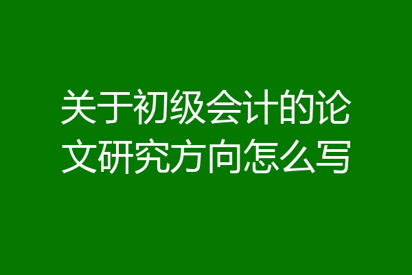 关于初级会计的论文研究方向怎么写