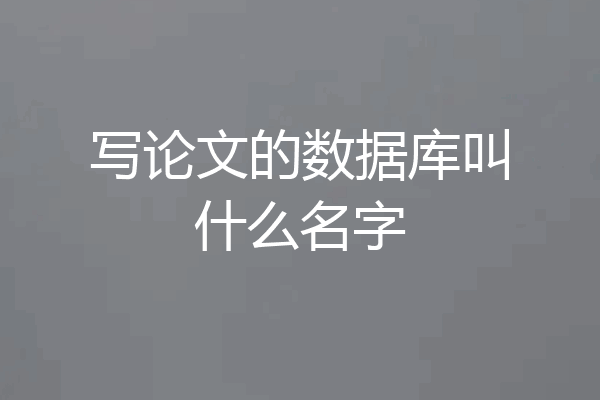 写论文的数据库叫什么名字