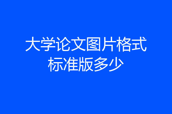大学论文图片格式标准版多少