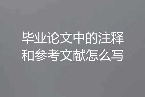 毕业论文中的注释和参考文献怎么写