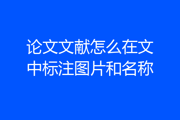 论文文献怎么在文中标注图片和名称