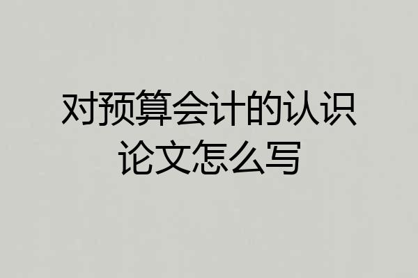 对预算会计的认识论文怎么写
