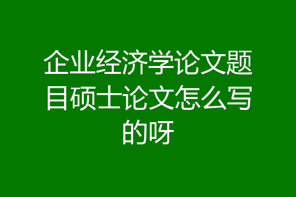 企业经济学论文题目硕士论文怎么写的呀