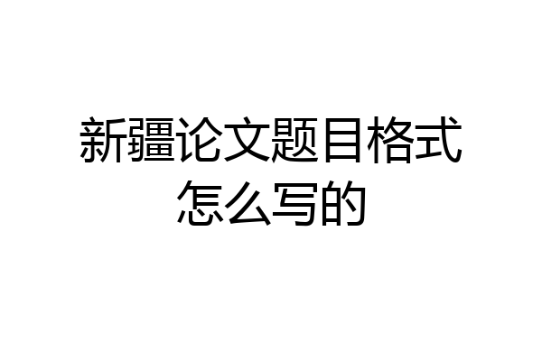 新疆论文题目格式怎么写的