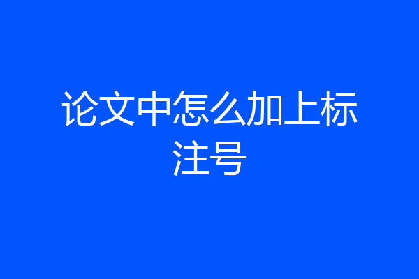 论文中怎么加上标注号
