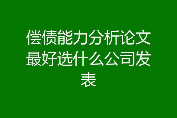 偿债能力分析论文最好选什么公司发表