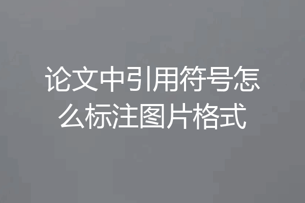论文中引用符号怎么标注图片格式