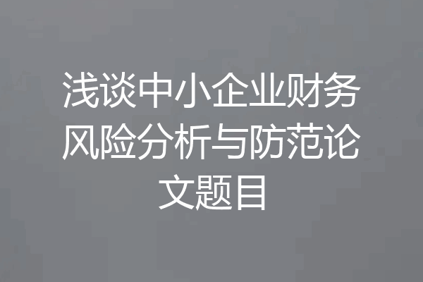 浅谈中小企业财务风险分析与防范论文题目
