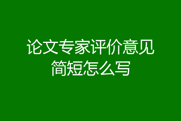 论文专家评价意见简短怎么写
