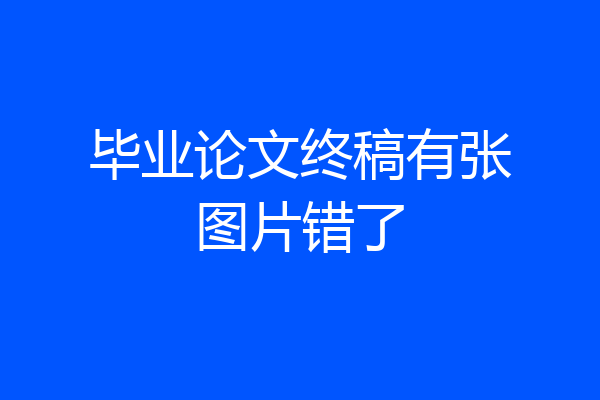 毕业论文终稿有张图片错了