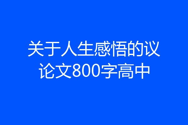 关于人生感悟的议论文800字高中