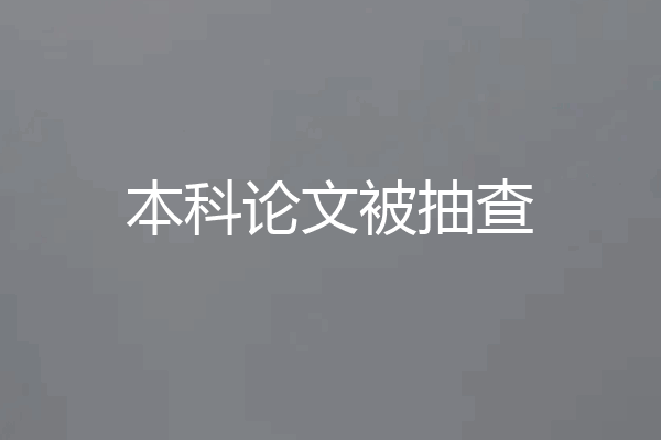 本科论文被抽查
