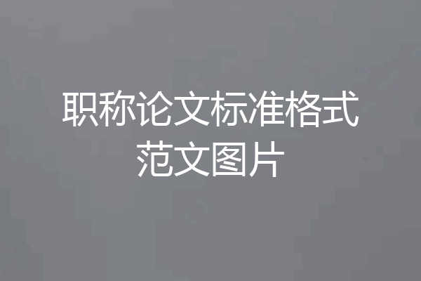 职称论文标准格式范文图片