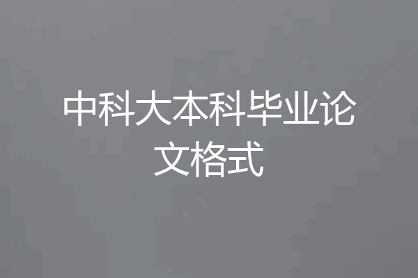 中科大本科毕业论文格式