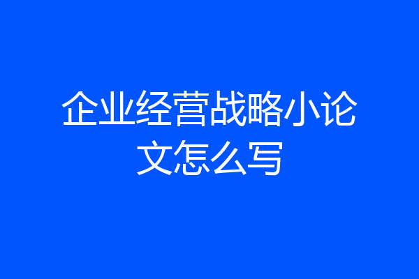 企业经营战略小论文怎么写