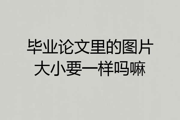 毕业论文里的图片大小要一样吗嘛