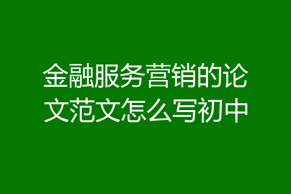 金融服务营销的论文范文怎么写初中