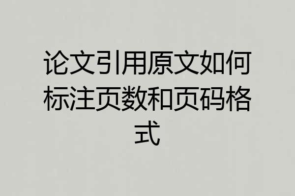 论文引用原文如何标注页数和页码格式