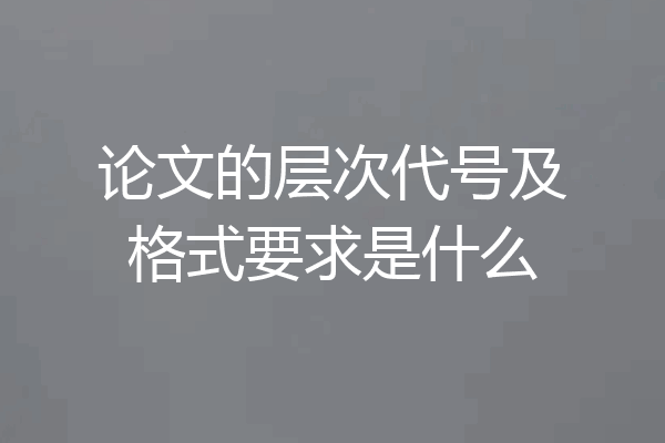 论文的层次代号及格式要求是什么