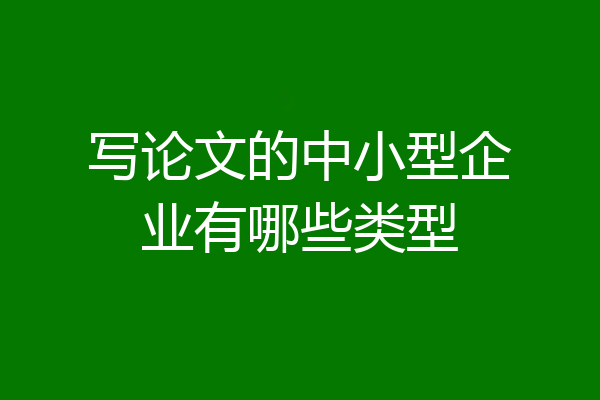 写论文的中小型企业有哪些类型