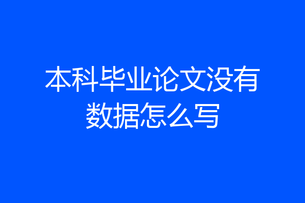 本科毕业论文没有数据怎么写