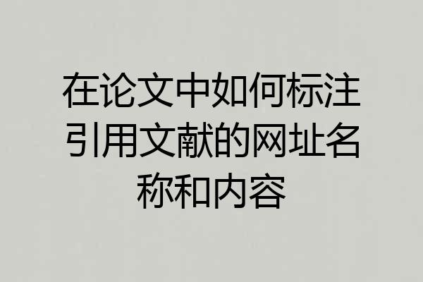 在论文中如何标注引用文献的网址名称和内容