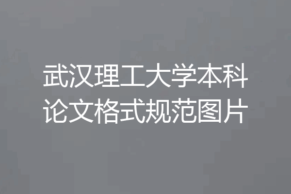 武汉理工大学本科论文格式规范图片