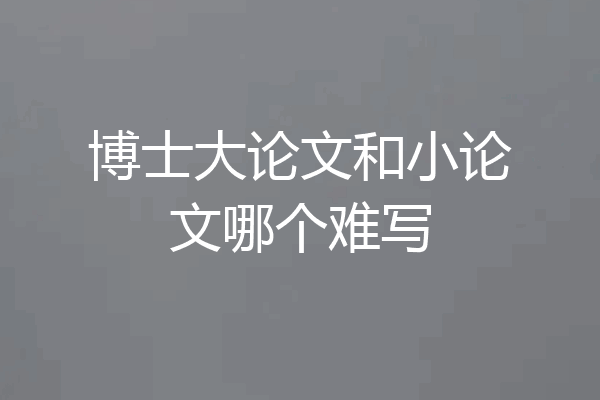 博士大论文和小论文哪个难写