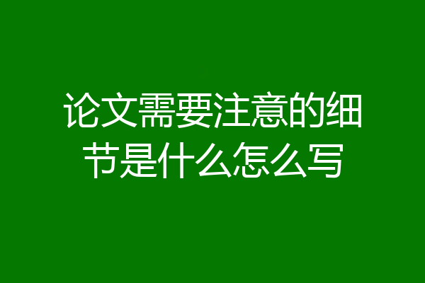 论文需要注意的细节是什么怎么写