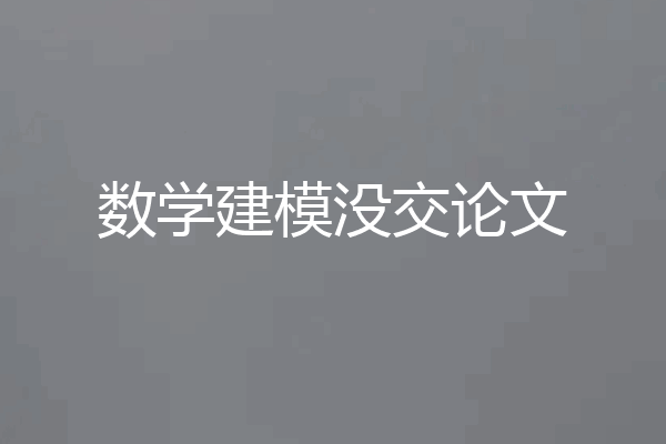 数学建模没交论文