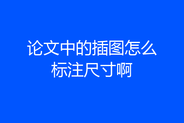 论文中的插图怎么标注尺寸啊