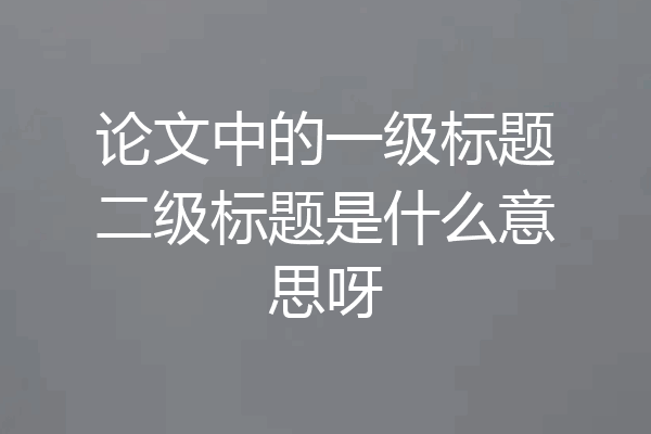 论文中的一级标题二级标题是什么意思呀