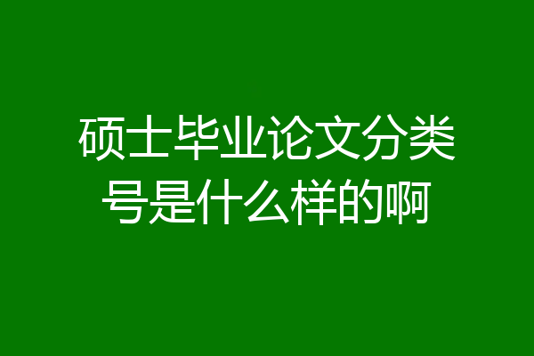硕士毕业论文分类号是什么样的啊