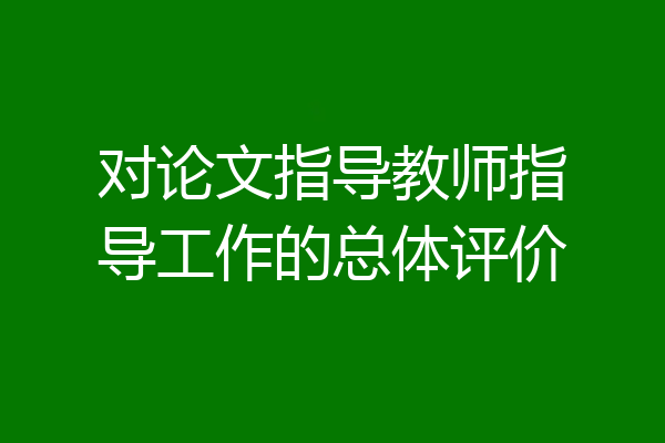 对论文指导教师指导工作的总体评价
