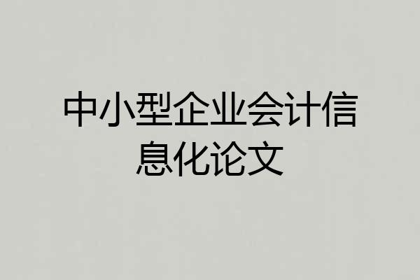 中小型企业会计信息化论文