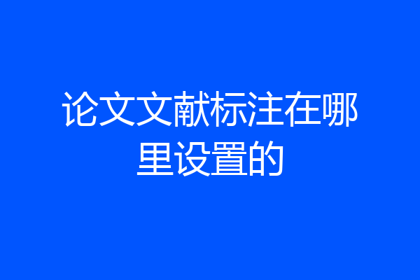 论文文献标注在哪里设置的