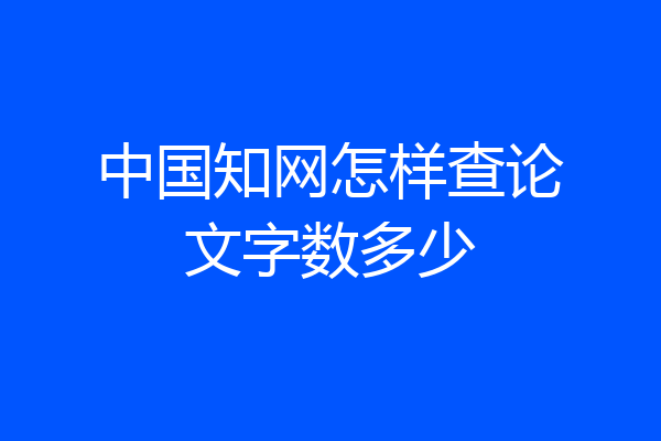中国知网怎样查论文字数多少