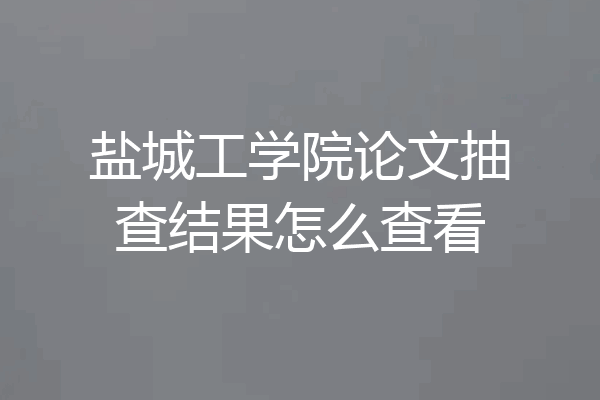 盐城工学院论文抽查结果怎么查看