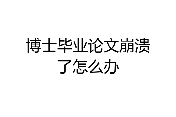 博士毕业论文崩溃了怎么办