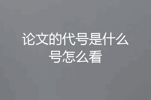 论文的代号是什么号怎么看