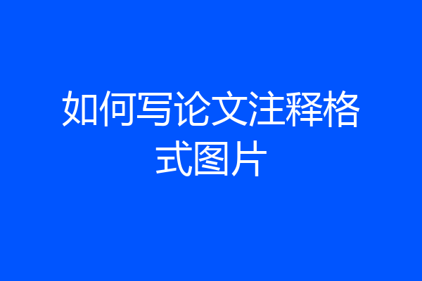如何写论文注释格式图片